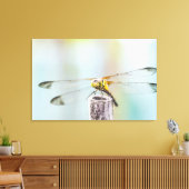 Dragonfly (Sympetrum infuscatum) Canvas Afdruk (Insitu (Woonkamer))