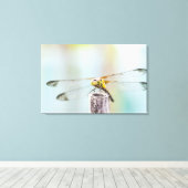 Dragonfly (Sympetrum infuscatum) Canvas Afdruk (Insitu (Houten vloer))