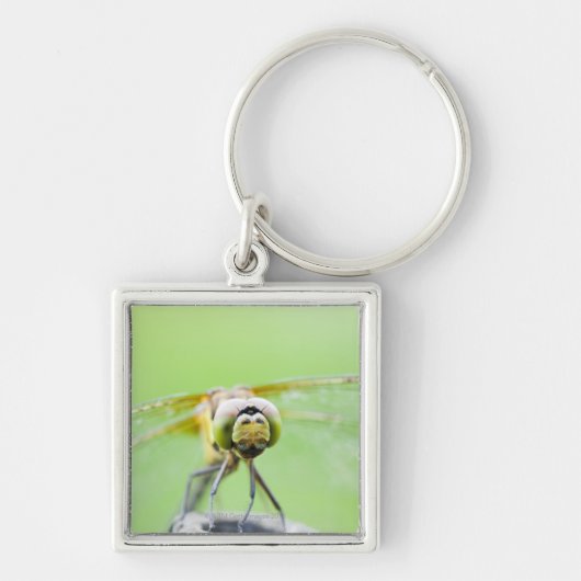 Dragonfly (Sympetrum infuscatum) Sleutelhanger (Voorkant)