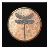 Dragonfly Talking Canyons, New Mexico Foto Afdruk (Voorkant)