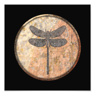 Dragonfly Talking Canyons, New Mexico Foto Afdruk