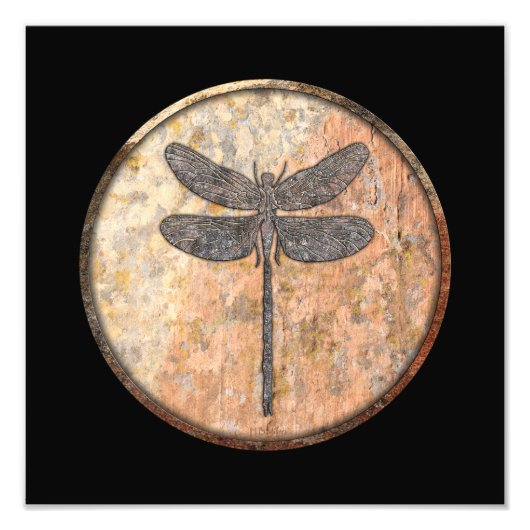 Dragonfly Talking Canyons, New Mexico Foto Afdruk (Voorkant)