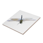Dragonfly Tegeltje (Zijkant)