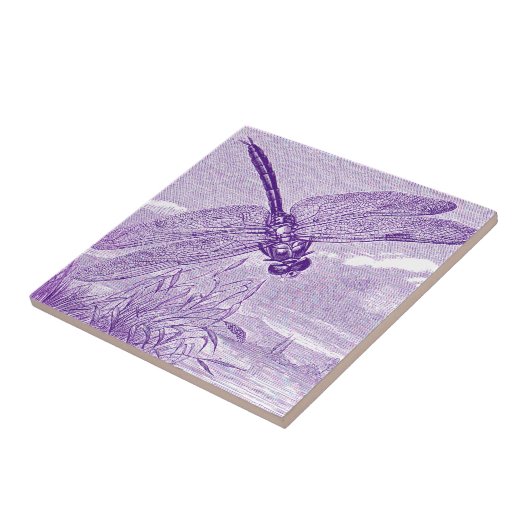 Dragonfly Tegeltje (Zijkant)