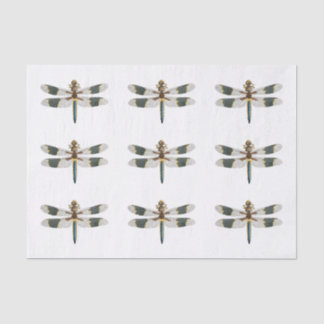  dragonfly-tekenpapier Gift Wrapping Tissuepapier