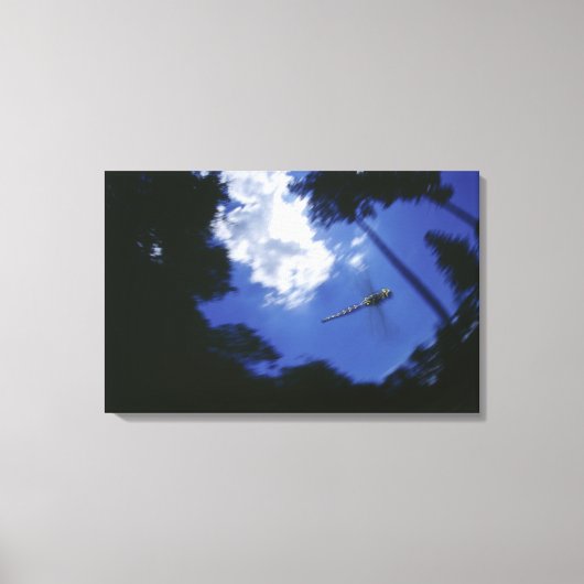 Dragonfly tijdens de vlucht, vleugels met flapende canvas afdruk (Voorkant)