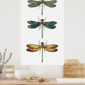 Dragonfly Trio Poster (Keuken)