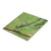 Dragonfly Trivet Tegeltje (Zijkant)