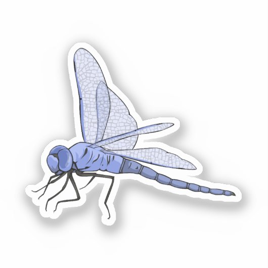 Dragonfly vector illustratie sticker (Voorkant)