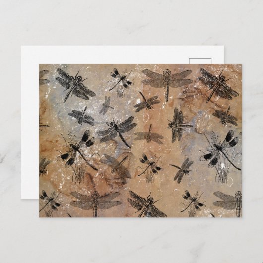 Dragonfly-vervormd Entomologische Patroon Feestdagenkaart (Voorkant / Achterkant)