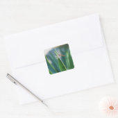 Dragonfly Vierkante Sticker (Envelop)
