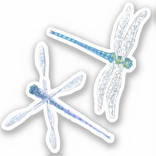 Dragonfly Vinyl Stickers (Voorkant)