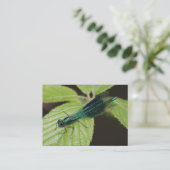 Dragonfly Visitekaartje (Staand voorkant)