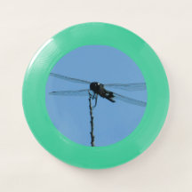 Dragonfly-vliegschijf