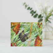 Dragonfly, Vliegweg Briefkaart (Staand voorkant)