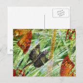 Dragonfly, Vliegweg Briefkaart (Voorkant / Achterkant)
