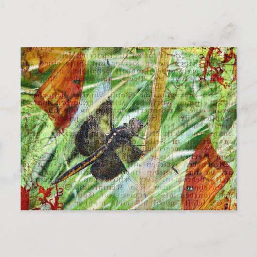 Dragonfly, Vliegweg Briefkaart (Voorkant)