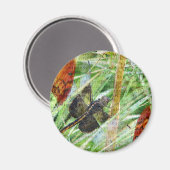 Dragonfly, Vliegweg Magneet (Voorkant / Achterkant)