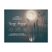 Dragonfly Volle Maan Nacht & Cattails Bewaar de da