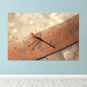 Dragonfly voor magisch kijken canvas afdruk (Insitu (Houten vloer))