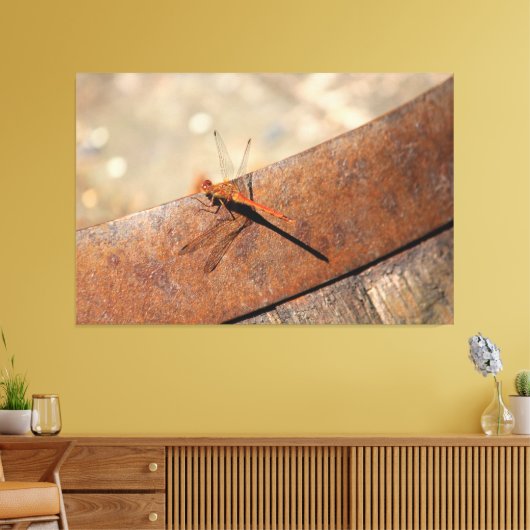 Dragonfly voor magisch kijken canvas afdruk (Insitu (Woonkamer))
