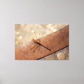 Dragonfly voor magisch kijken canvas afdruk (Voorkant)