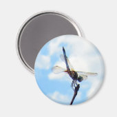 Dragonfly ~ Voorbereiden op de start Magneet (Voorkant / Achterkant)