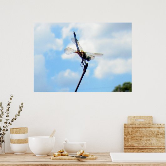Dragonfly ~ Voorbereiden op de start Poster (Keuken)