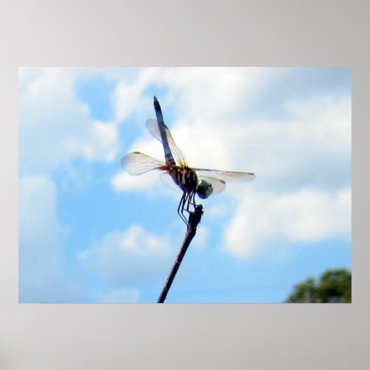 Dragonfly ~ Voorbereiden op de start Poster (Voorkant)