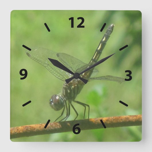 Dragonfly-wandklok Vierkante Klok (Voorkant)
