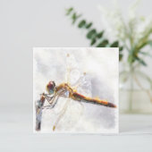 Dragonfly Waterverf Pastel White Achtergrond Feestdagenkaart (Staand voorkant)