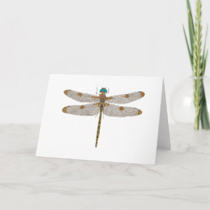 Dragonfly-Wenskaart Kaart