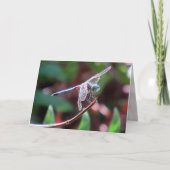 Dragonfly-Wenskaart Kaart (Voorkant)