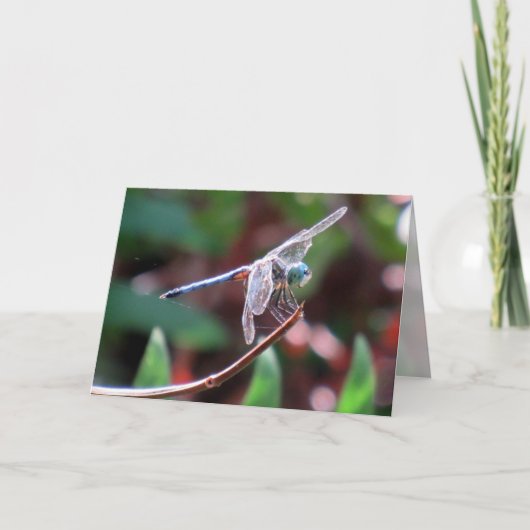 Dragonfly-Wenskaart Kaart (Voorkant)