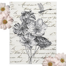 Dragonfly Wildflower Frans Script Decoupage Idee