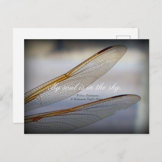 Dragonfly Wings Macro met Shakespeare Quote Briefkaart (Voorkant / Achterkant)