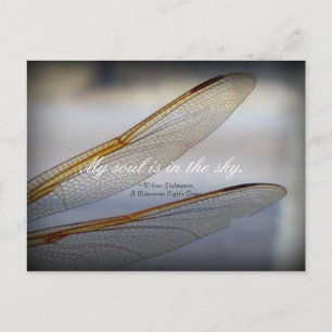 Dragonfly Wings Macro met Shakespeare Quote Briefkaart