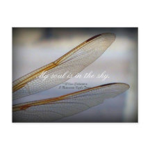 Dragonfly Wings Macro met Shakespeare Quote