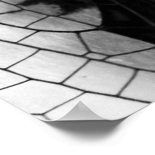 Dragonfly Wings Poster (Hoek)