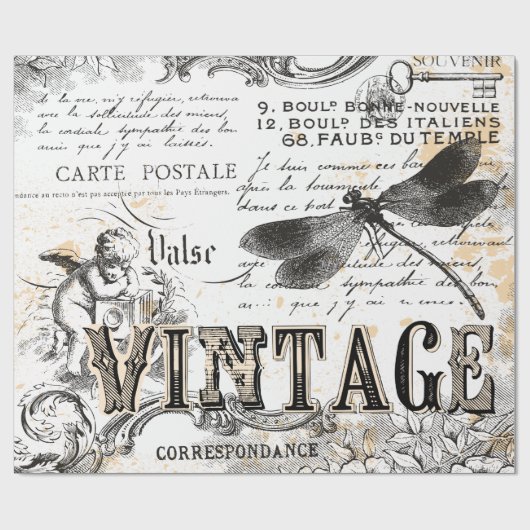 Dragonfly-wrapppapier - Frans  Cadeaupapier (Vlak)