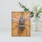 Dragonfly zie je briefkaart (Staand voorkant)