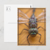 Dragonfly zie je briefkaart (Voorkant / Achterkant)