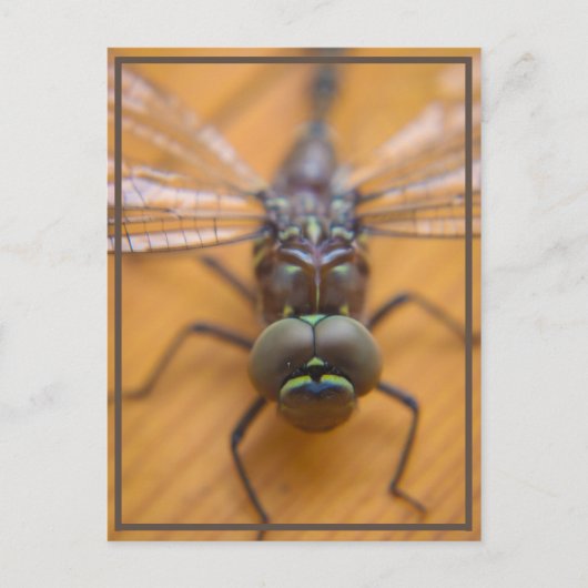 Dragonfly zie je briefkaart (Voorkant)