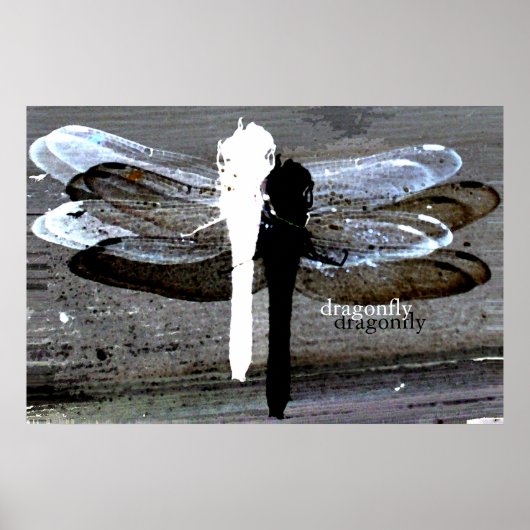 Dragonfly (zwarte en witte doorsnede) poster (Voorkant)