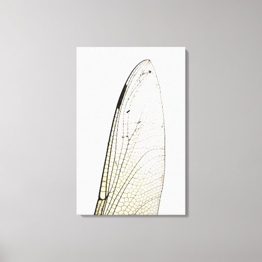 Dragonigvleugel Canvas Afdruk (Voorkant)