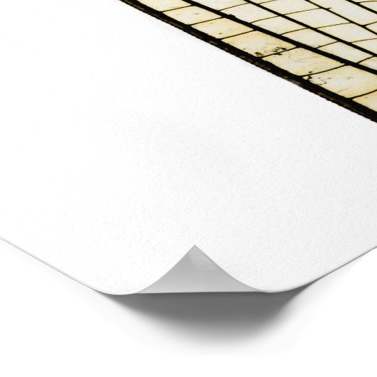 Dragonigvleugel Poster (Hoek)