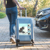 Dragon's Fury Zee Battle voor de berg Fuji Sticker (Koffer Insitu)