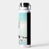 Dragon's Fury Zee Battle voor de berg Fuji Waterfles (Achterkant)