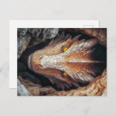 Dragon's Gaze Briefkaart (Voorkant / Achterkant)