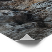 Dragon's Gaze Poster (Hoek)